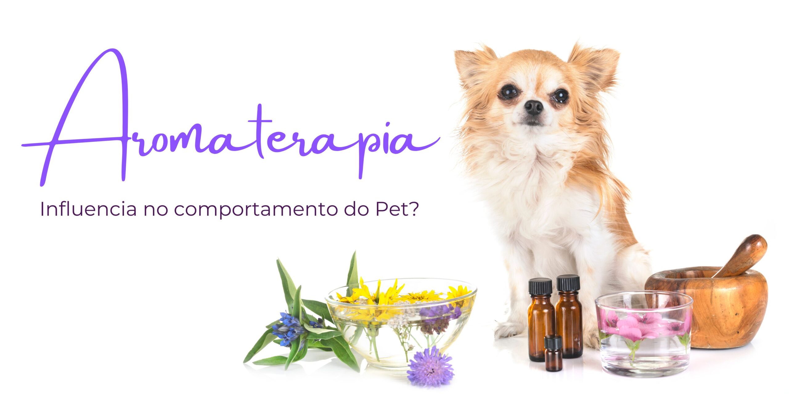 Aromaterapia para Pets