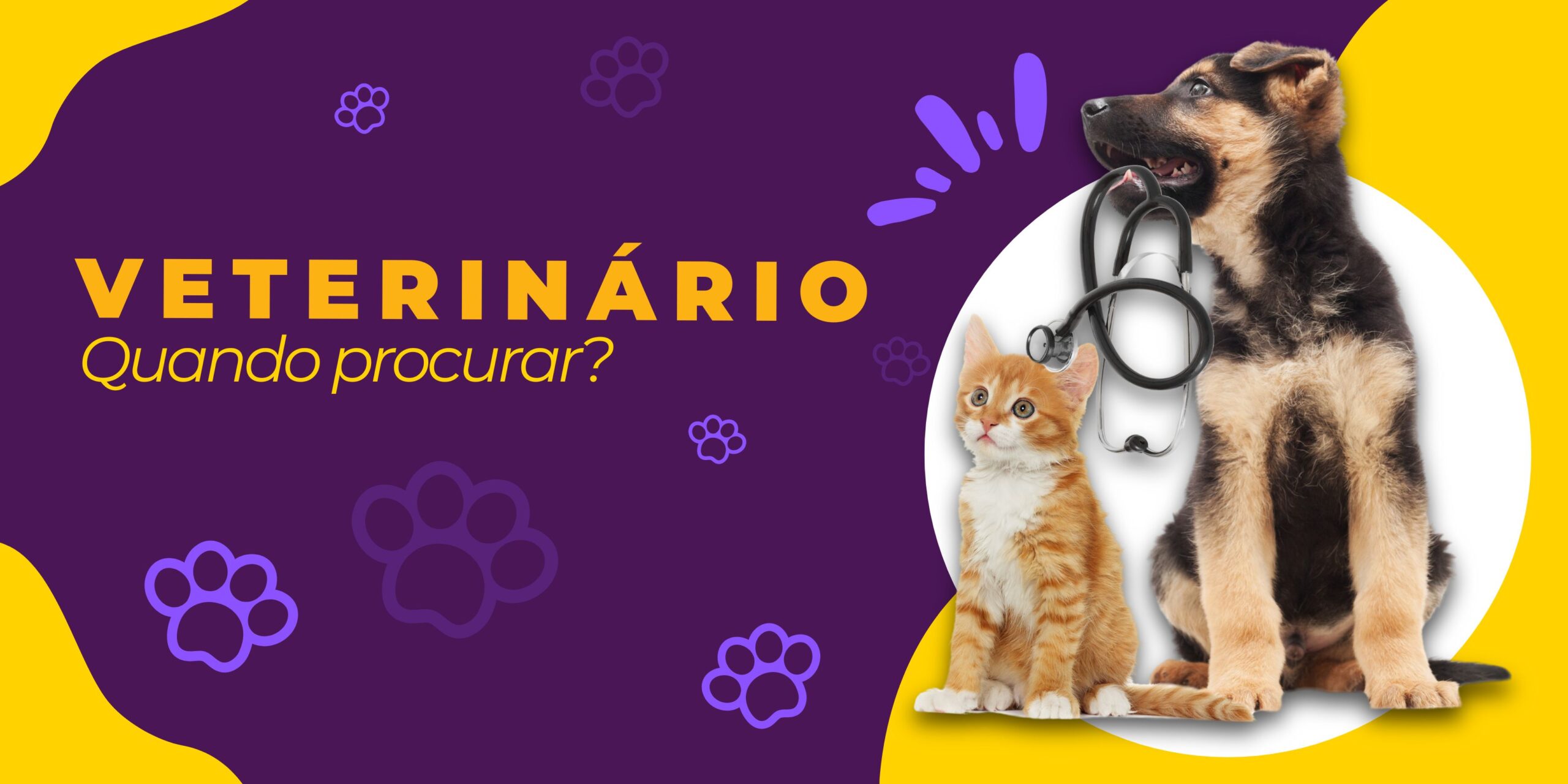 Veterinário: Quando procurar?